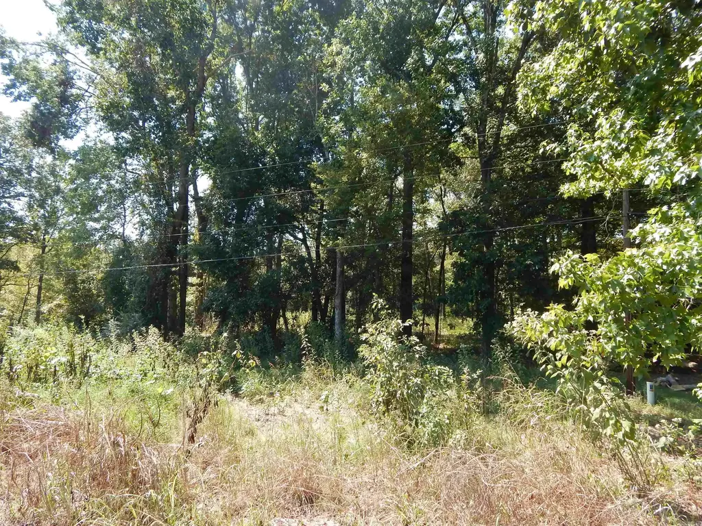 Lot 28 Cooterneck Road, Heber Springs