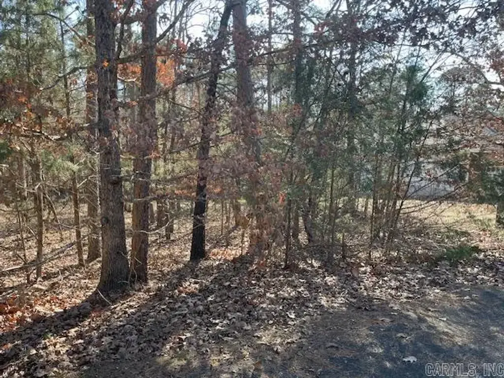 5 Resplandor Court, Hot Springs Village