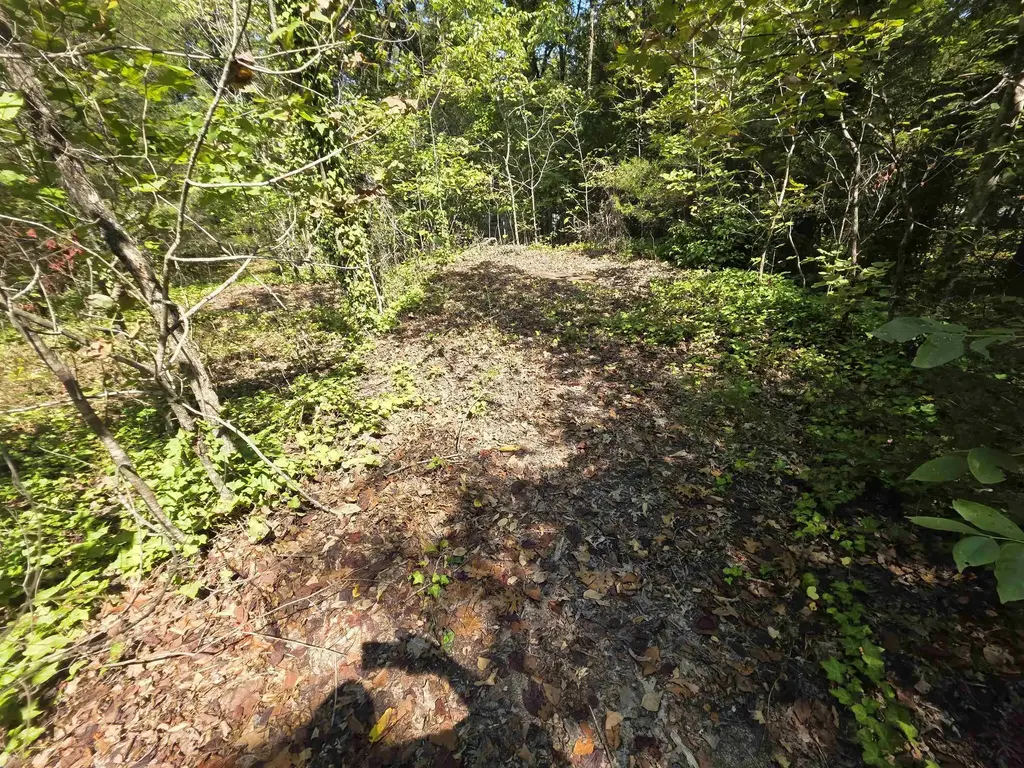 L-10 B-2 Summit Ridge Drive, Ozark Acres
