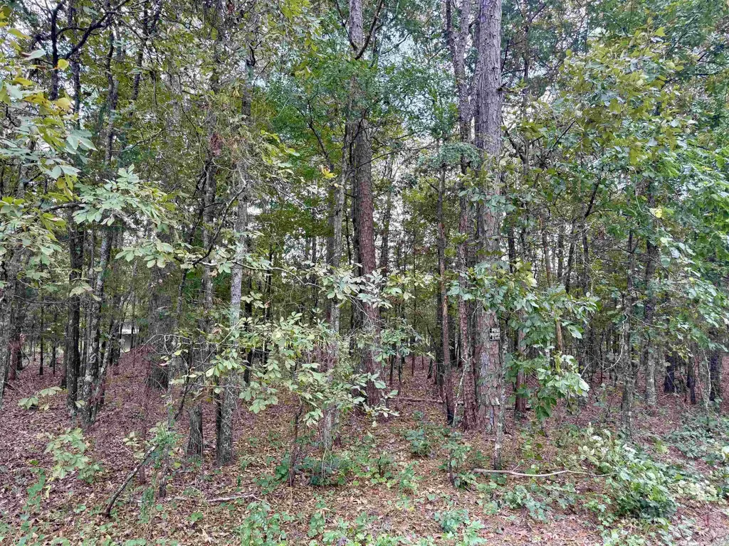 Lot 5 Ellen, Higden