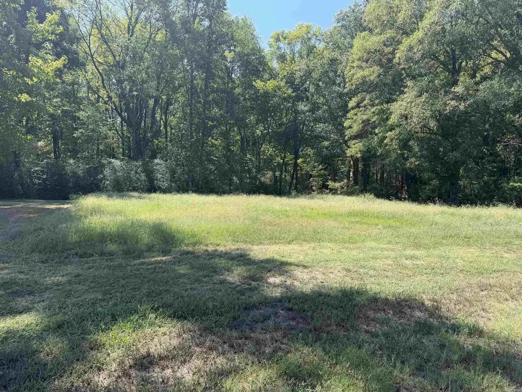 402 Hwy 286 E Tract 1, Conway