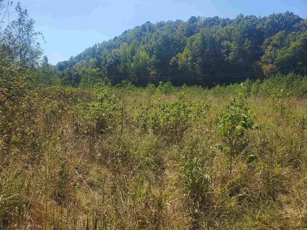 Tbd Polk Road 67, Mena