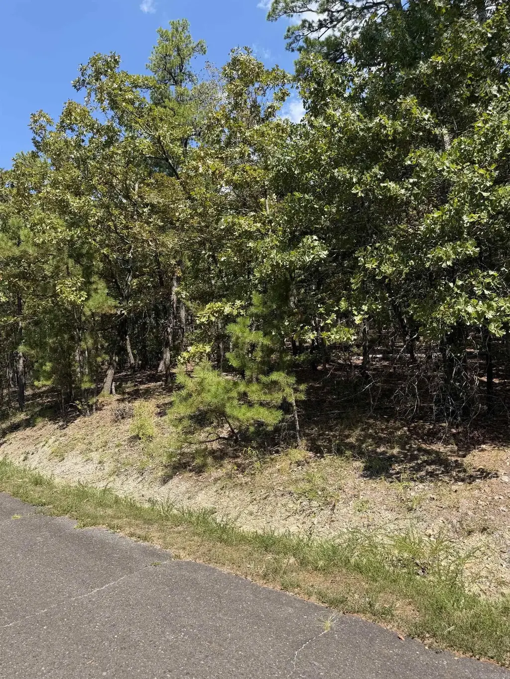 3 Ermalinda Place, Hot Springs Village