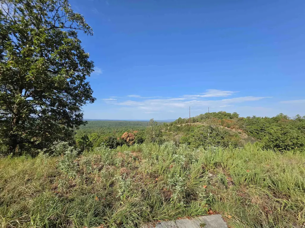 457 Polk Road 412, Mena