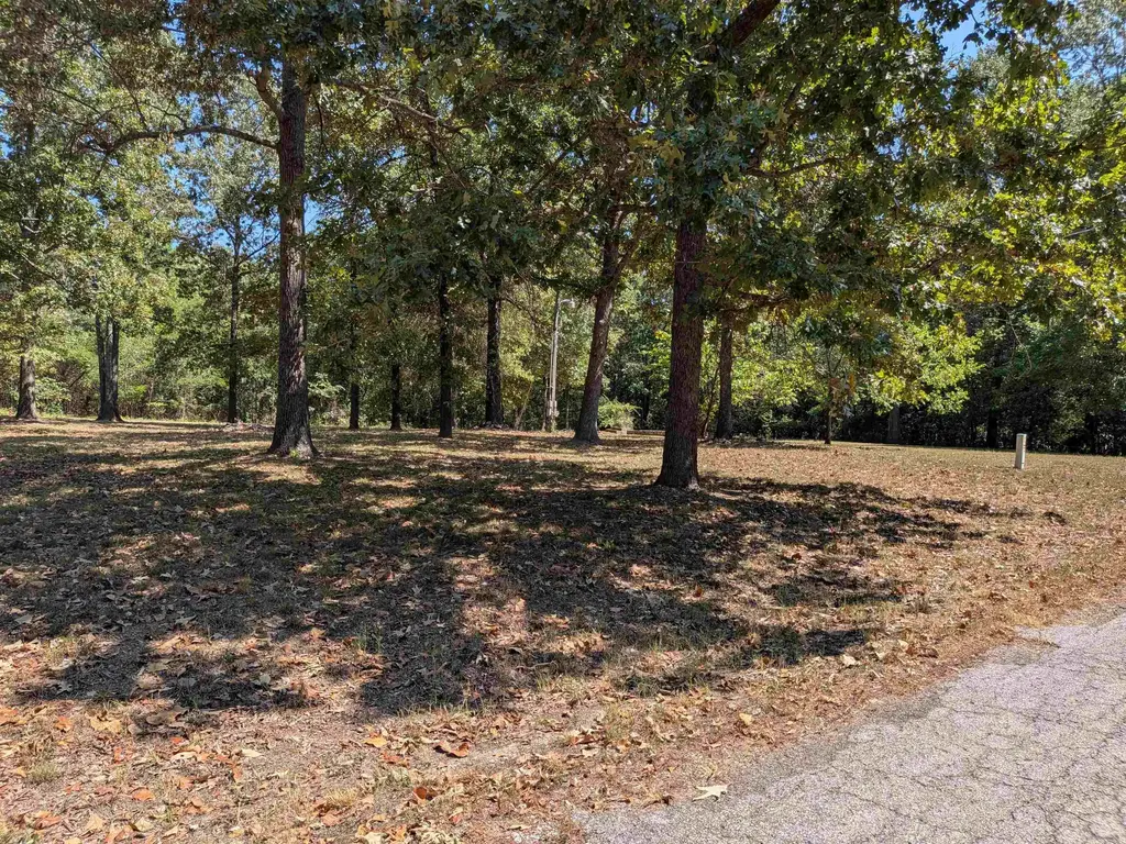 20 Guyon Drive, Cherokee Village