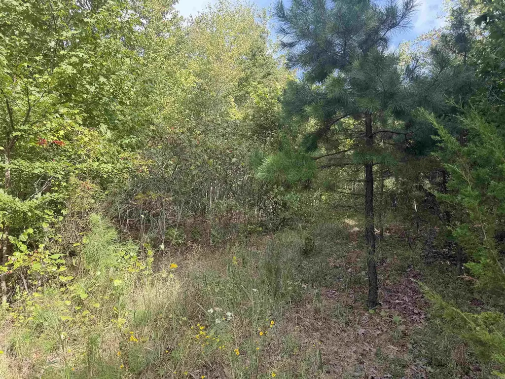 000 Rex Road, Alread