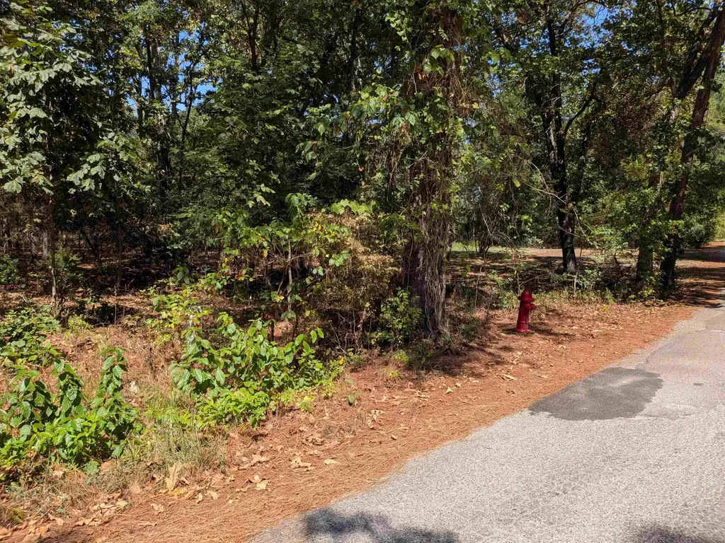 11 Vista Larga Drive, Cherokee Village
