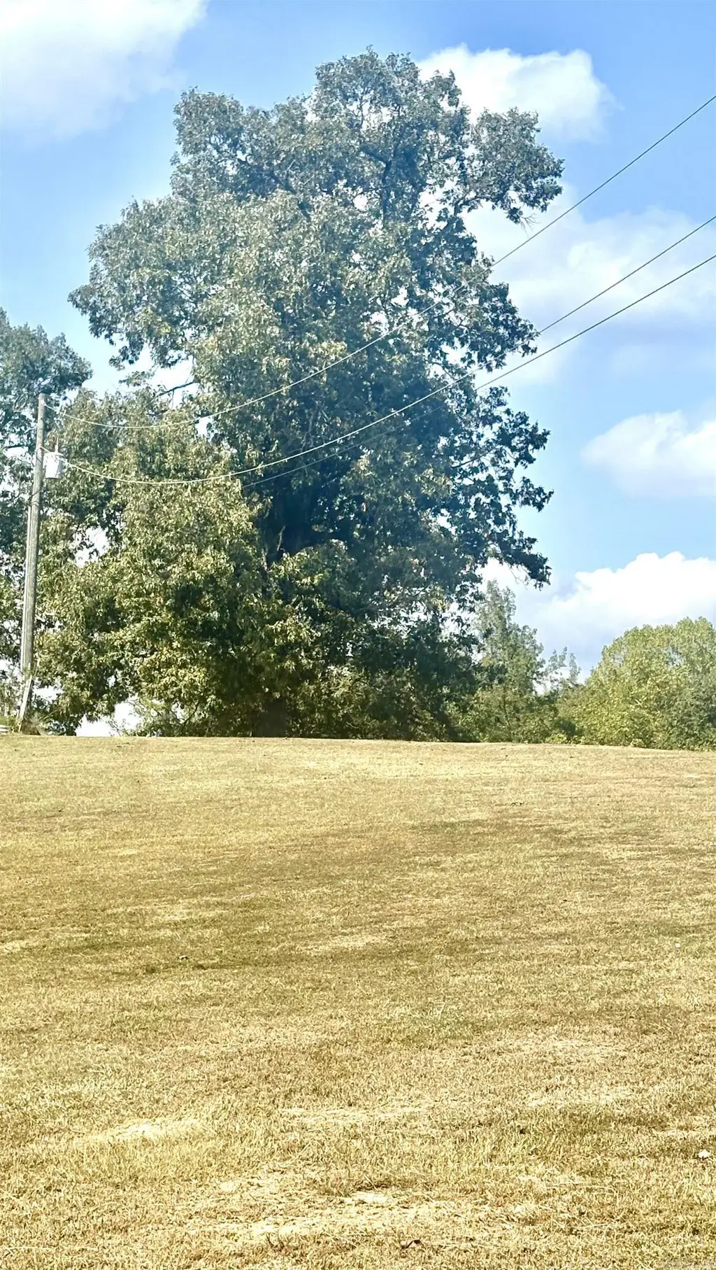Tract 2 Steel Bridge Road, Benton
