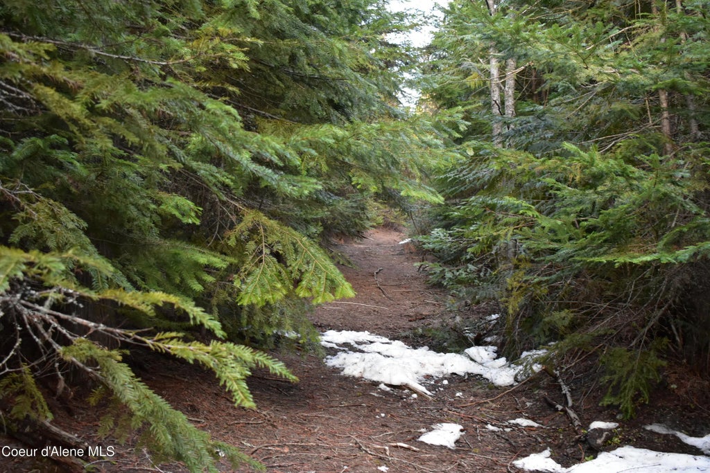 80 E Ridge Dr. (tract 8), St. Maries