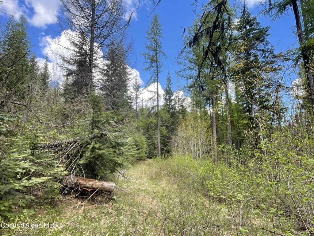 Nka Old Railroad Grade, Plummer