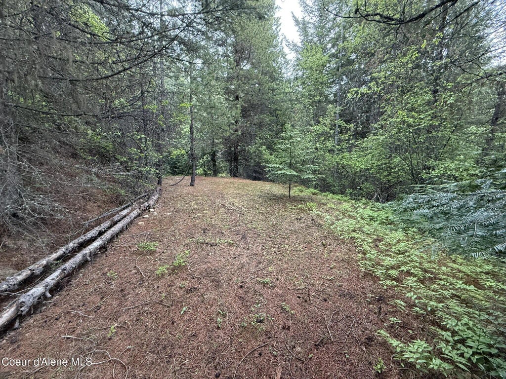 1605 Crystal Peak Rd, Fernwood