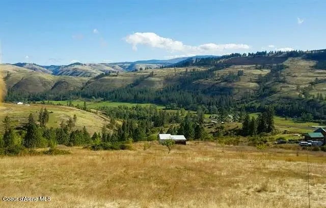 Tbd Canyon Dr, Kooskia