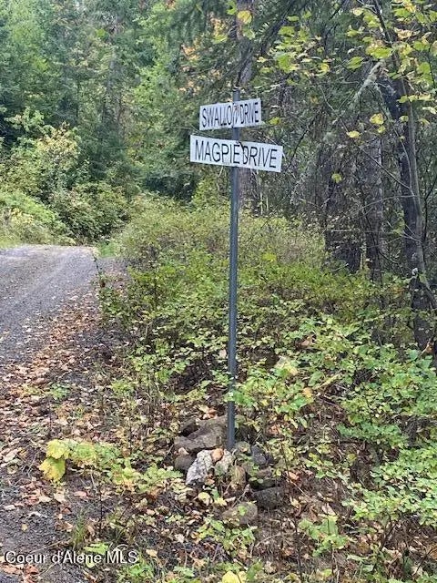 Nka E E Fly Catcher Lots 11,12 Rd, St. Maries