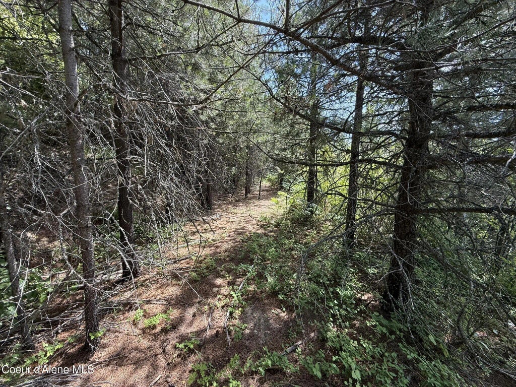 372 Maple Ln, Fernwood