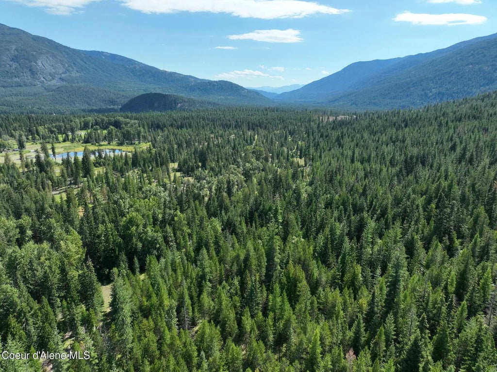 Nna 196 Acres Hwy 95, Bonners Ferry