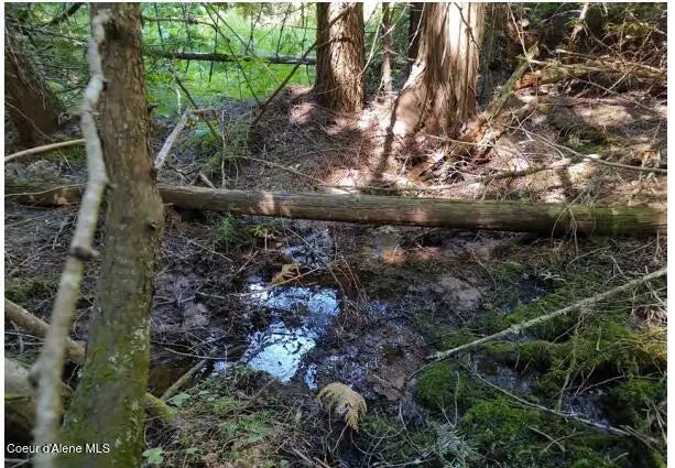 317 E Ridge Rd, St. Maries