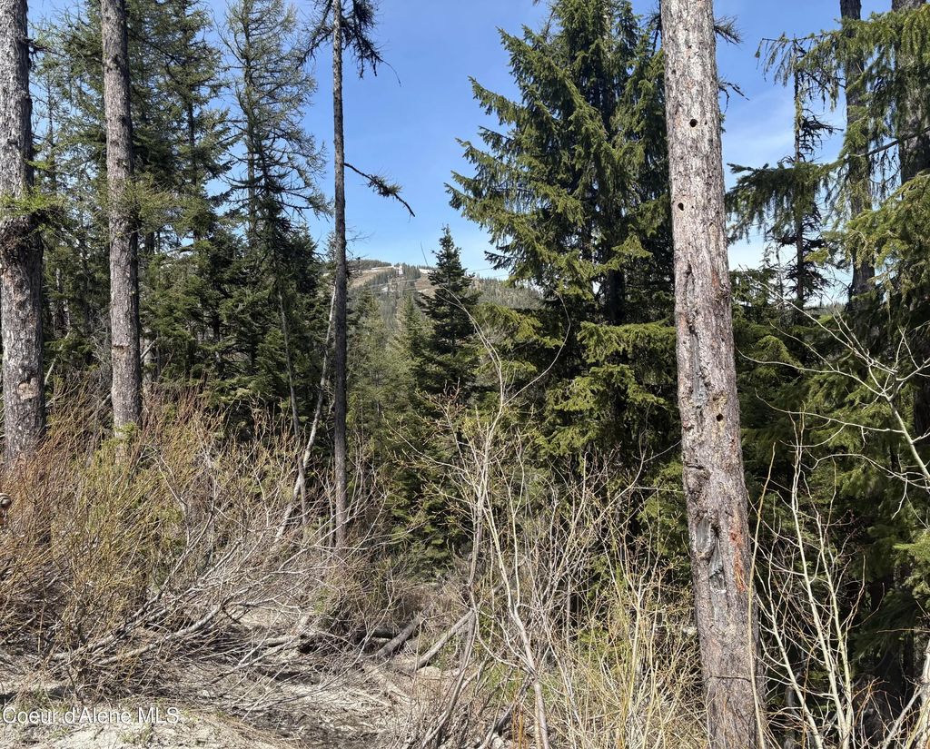 Nka Parallel Run Blk 6 Lot 9a, Sandpoint