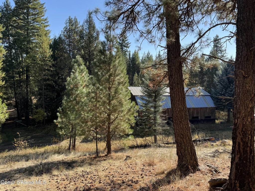 1518 Horn Mountian Rd, Priest River