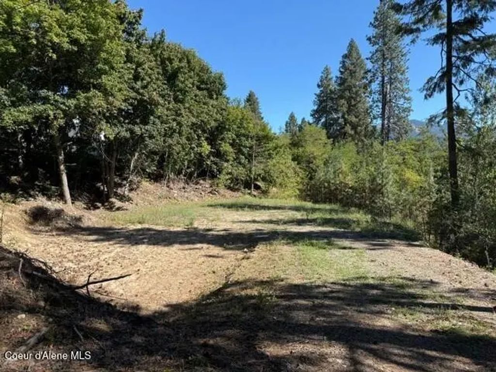 Nna (.393 Ac.) 2nd St, Priest River
