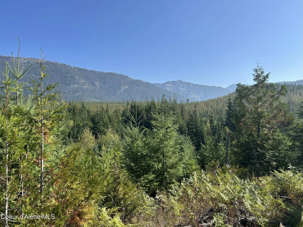 Nka Tract 5 Usfs 2294, Clark Fork