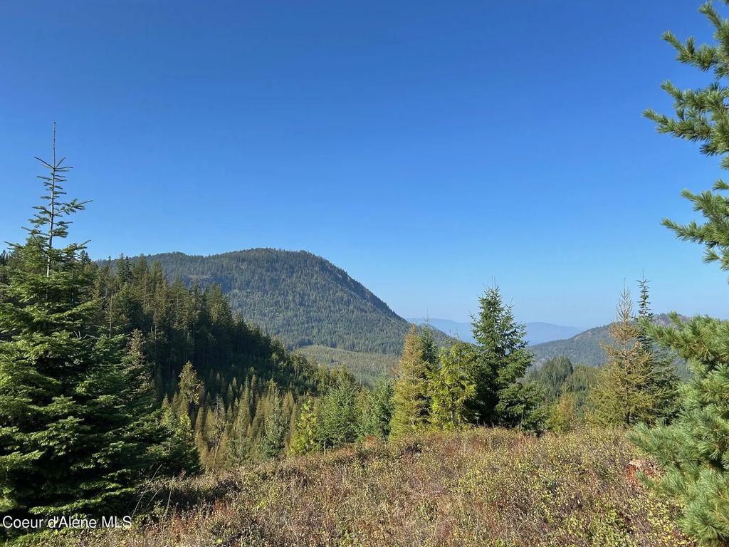 Tract 6 Usfs 2294, Clark Fork