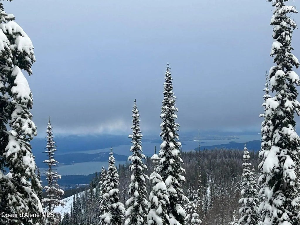 L3 B2 Tall Timber, Sandpoint