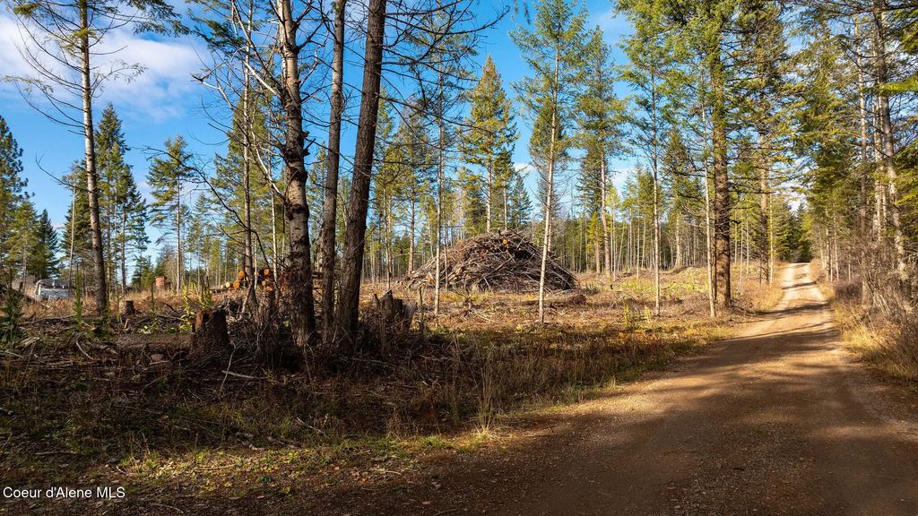 773 Cougar Loop, Clark Fork