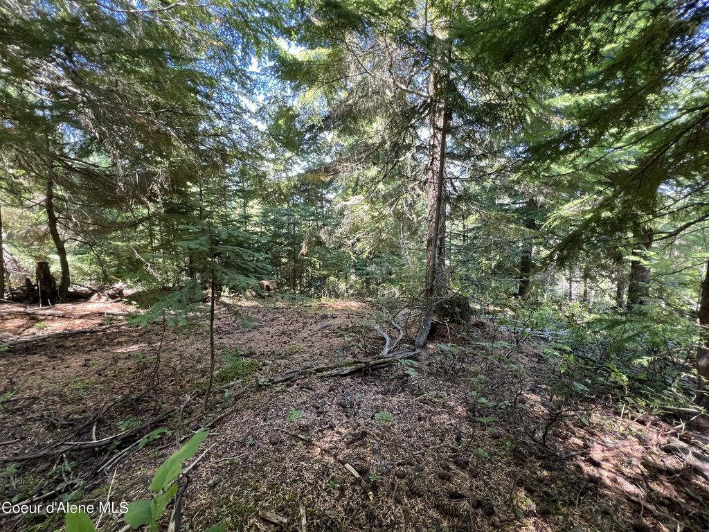 520 Alpine Dr, Fernwood