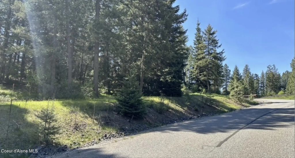 Naa S Whitetail Crossing Ct, Coeur d'Alene