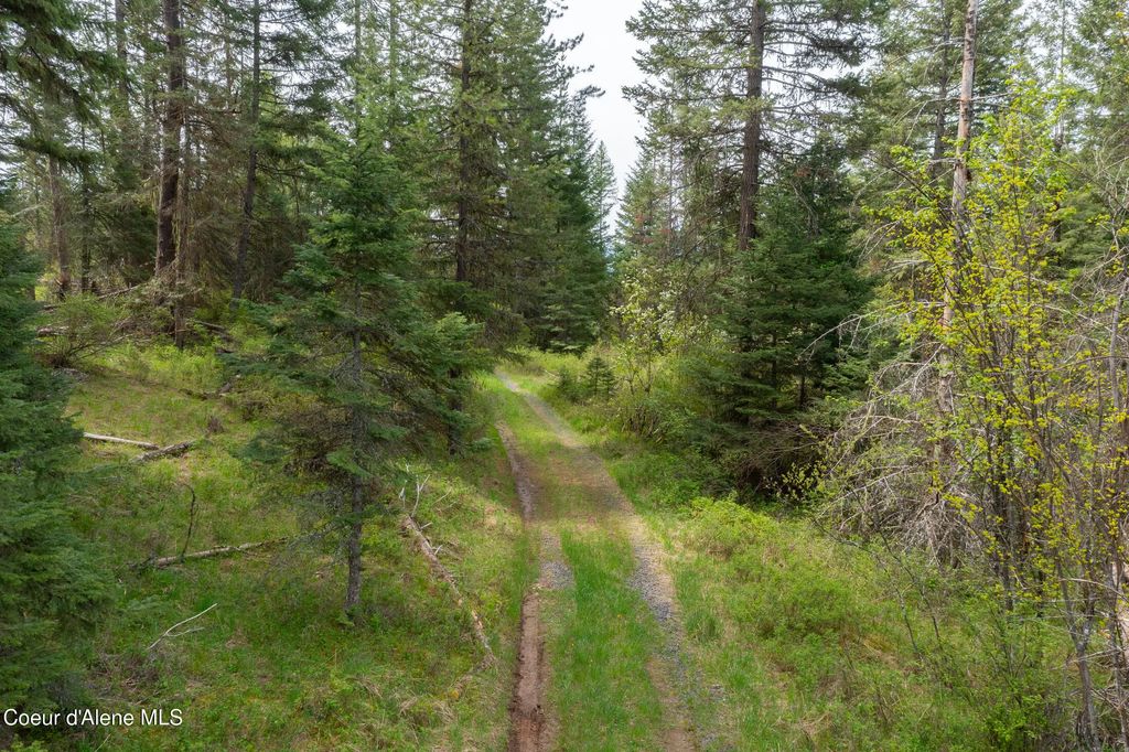 Nna Davis Creek, Santa