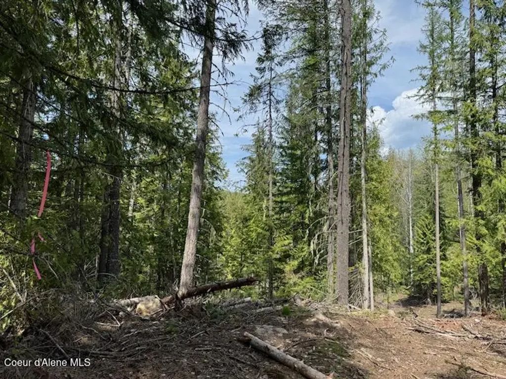 Nna Raven Ridge Rd, Sandpoint