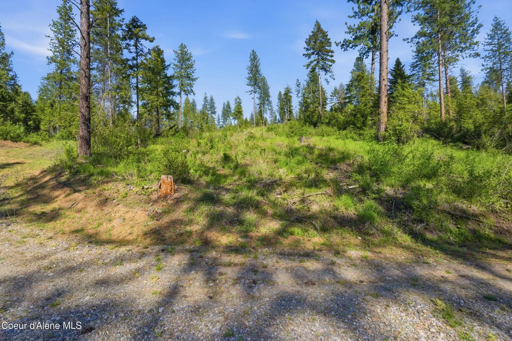 Nna Stone Rd Lot 5 (20.0 Acres), Blanchard