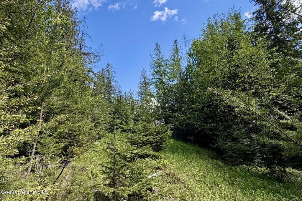 Nna Lot 4 Silver Reef Rd, Sagle