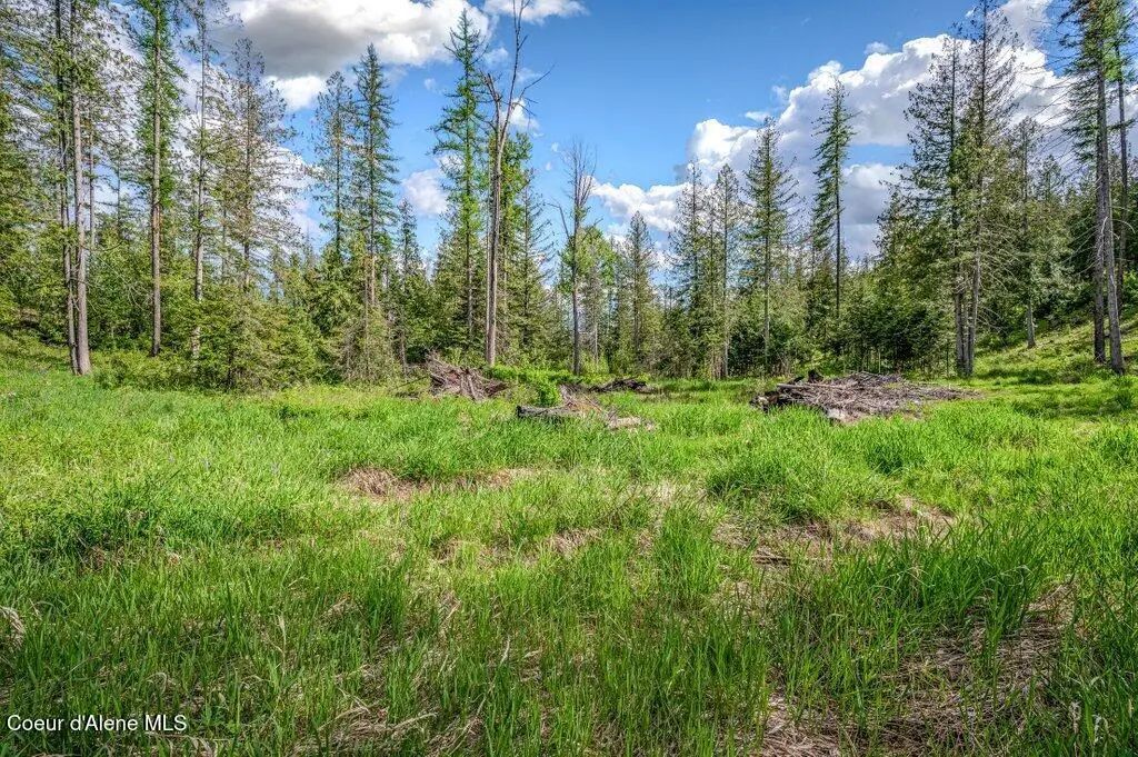 Nna Oleander Dr., Lot 1, Sandpoint