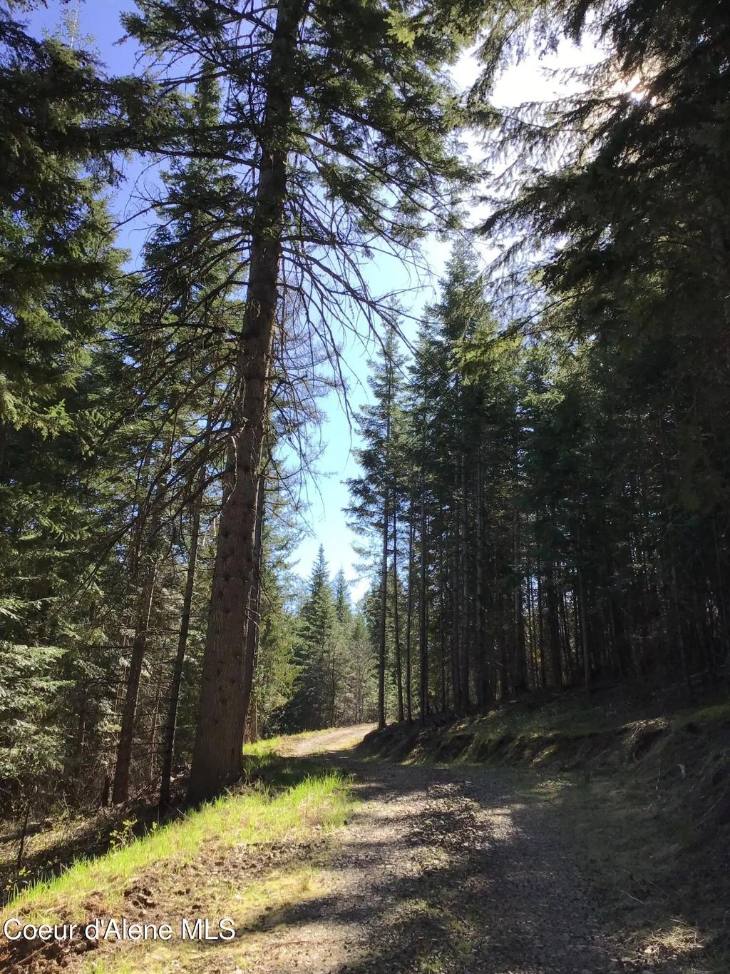 Highway 97, Harrison