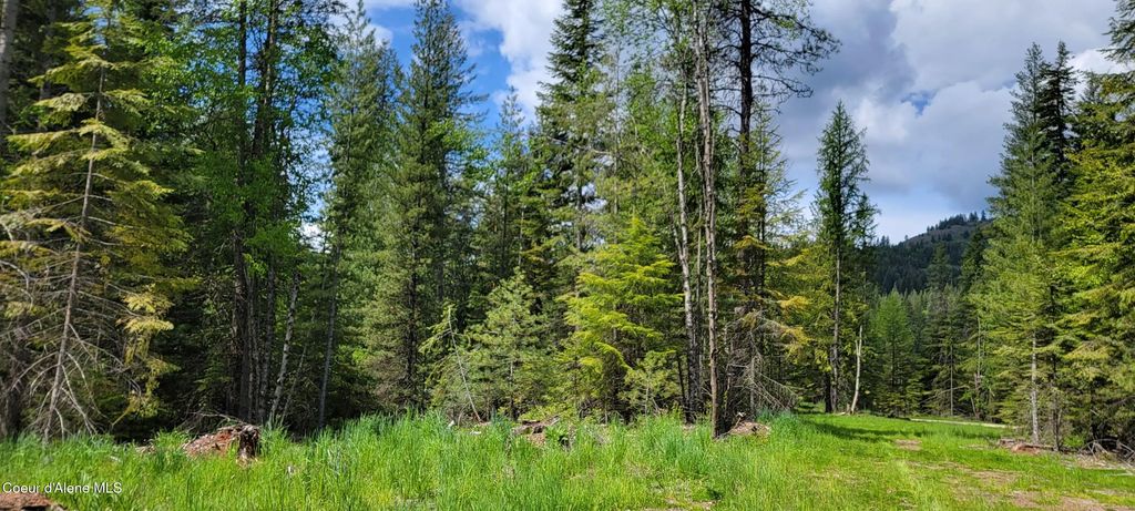 Nna Pup Paw Trail - North, Priest River