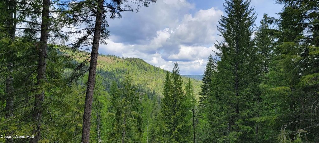 Nna Pup Paw Trail South, Priest River