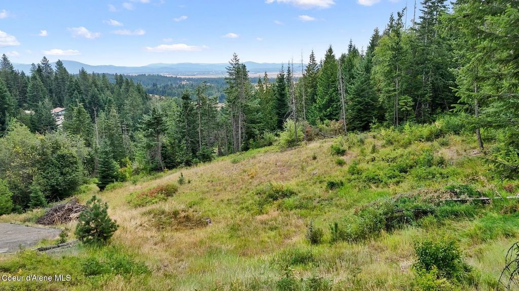 Nna W Biggs Rd. Lot 1, Rathdrum