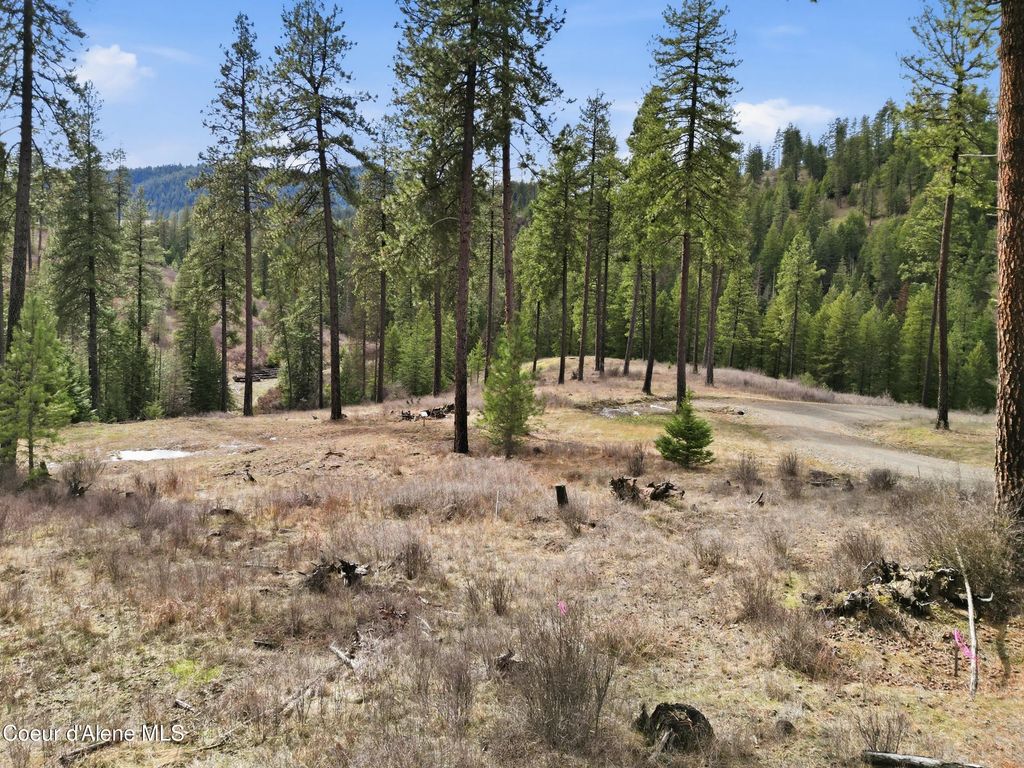2304 S Blue Creek Rd (lot 2 & Lot 3), Coeur d'Alene