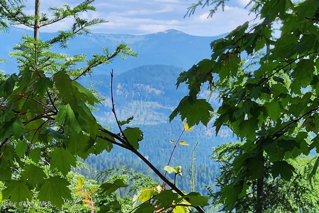 718 Slippery Slope Lot 1, Priest River