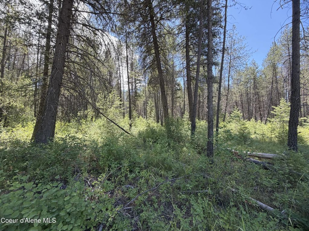 46 Ares Way, Priest River
