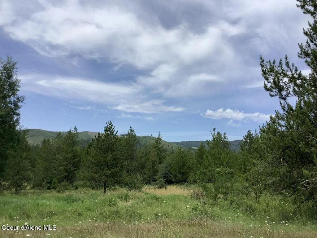 6450 Alder Creek Rd, St. Maries