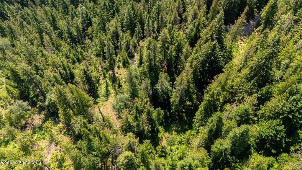 466 Rincon Dr, Sandpoint