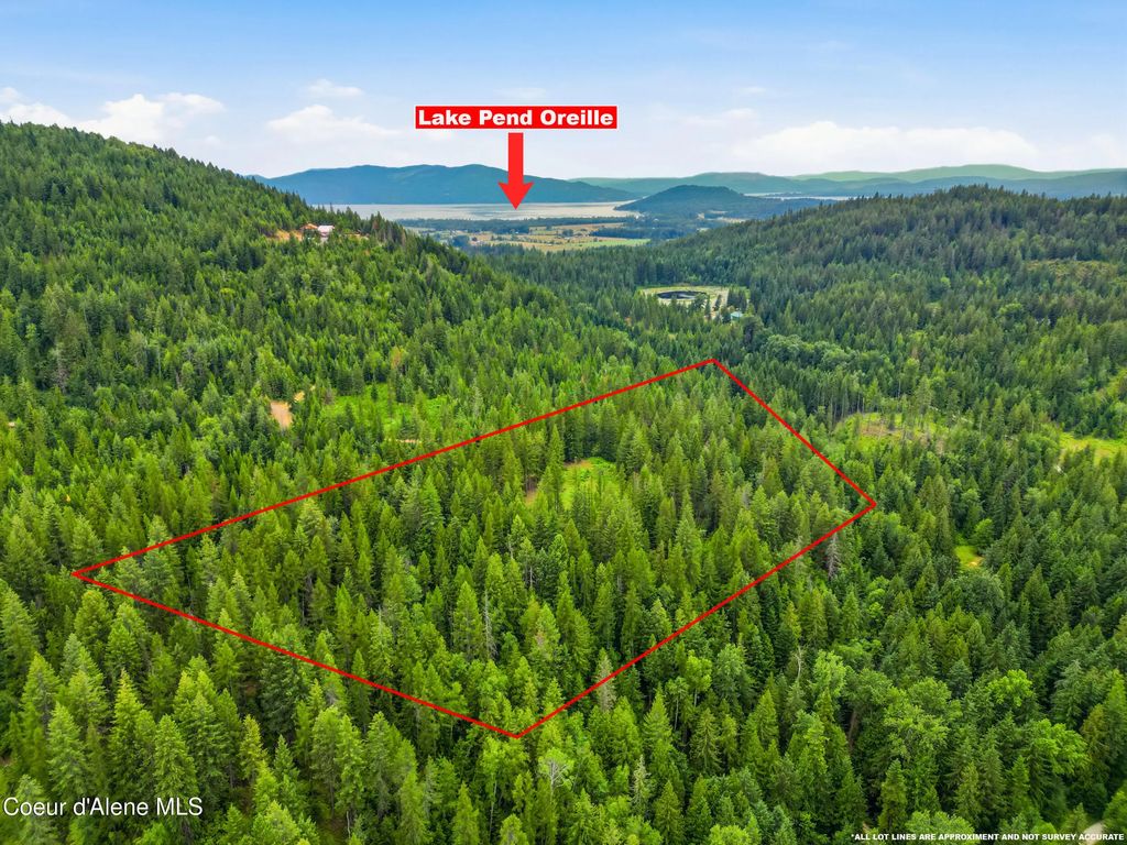 217 Whodathunkit Rd, Sandpoint