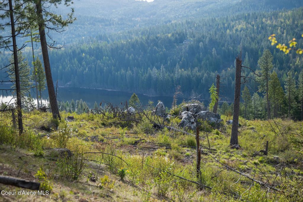 Lot 1 Dollar Creek Dr, Sagle
