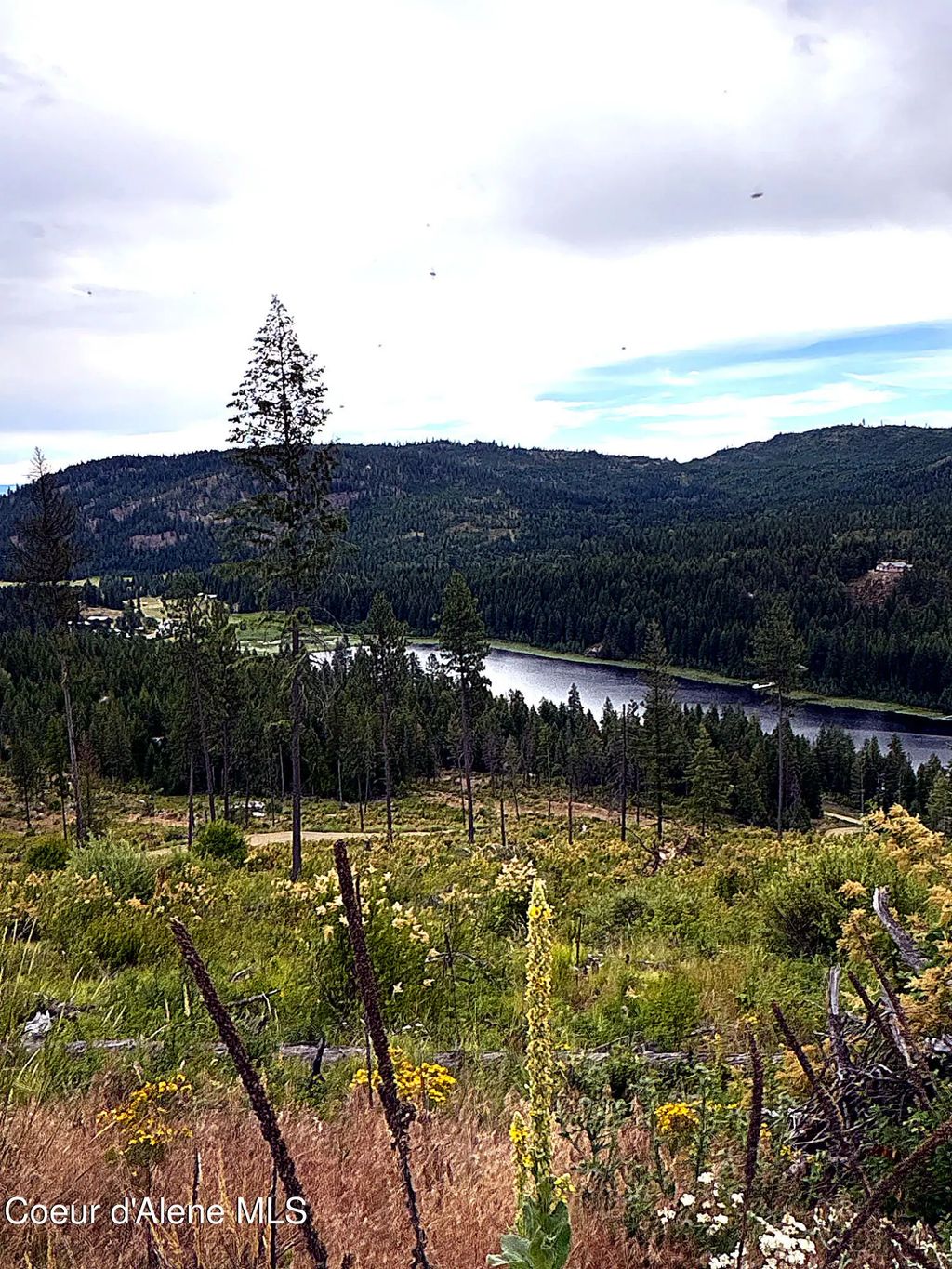Lot 2 Dollar Creek Dr, Sagle