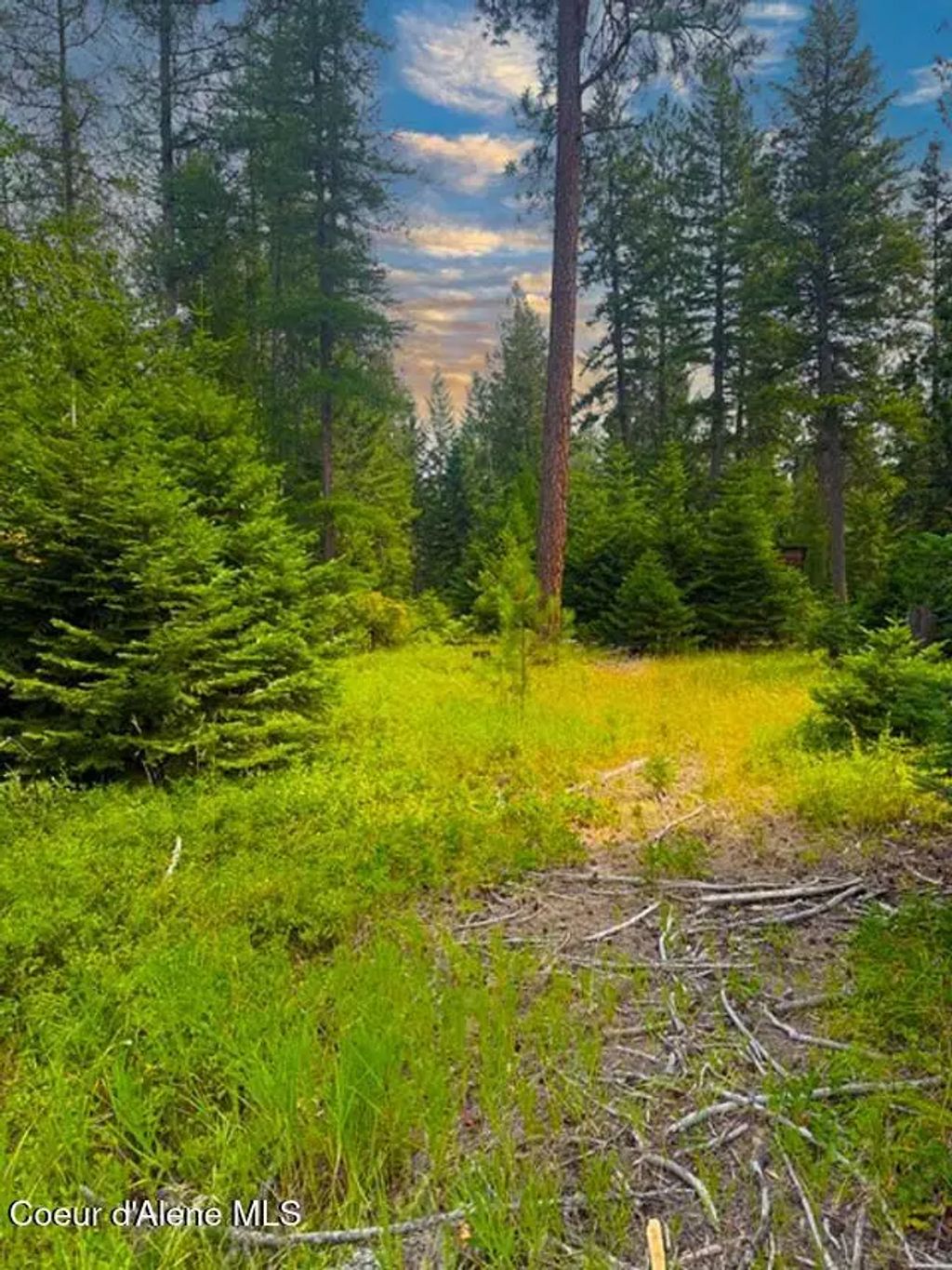 Nna Ginger Ln, Bonners Ferry