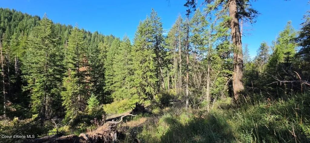 N Gages Mountain Rd, Coeur d'Alene