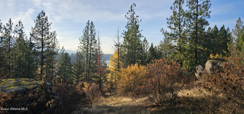 125 Tracker Way, Priest River