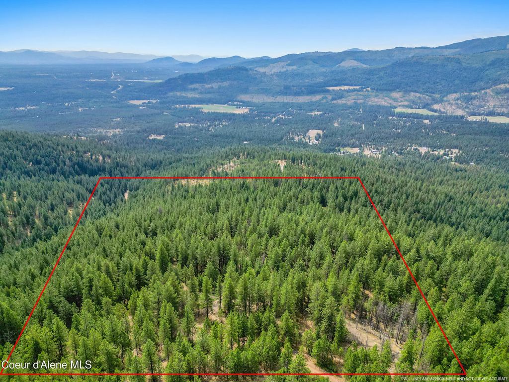 Nna Usfs 2550 (40 Acres), Blanchard